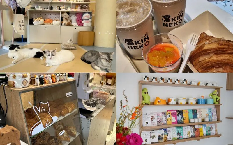 Kin Neko Cat Cafe - cà phê mèo ở Sài Gòn được nhiều người tới lui