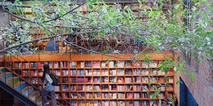 Note ngay 16 quán cafe sách Sài Gòn “chất lừ” cho hội mọt sách