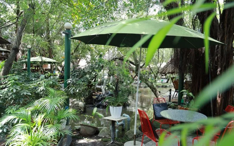 Cafe Home Garden CK gây ấn tượng với không gian ngập tràn cây xanh