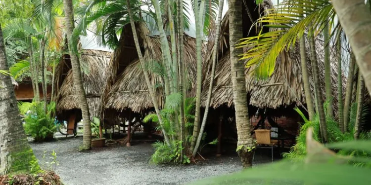 Khám phá 12 quán cafe chòi Sài Gòn với không gian xưa hoài niệm 6 12 quán cafe chòi Sài Gòn xanh mát