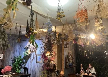 Đổi gió tại các quán cà phê phong cách Đà Lạt ở Sài Gòn