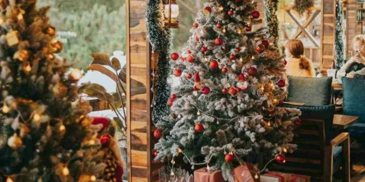 Lưu ngay 10 quán cà phê trang trí Noel ở Đà Lạt đẹp “rụng tim” 11 Quán cà phê trang trí Noel ở Đà Lạt cho dân nghiện check-in