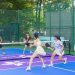 Chill đỉnh nóc với 3 sân pickleball Phú Nhuận cực chất