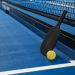 Sân Pickleball Quận 12 – Điểm đến lý tưởng cho mọi tín đồ Pickleball!