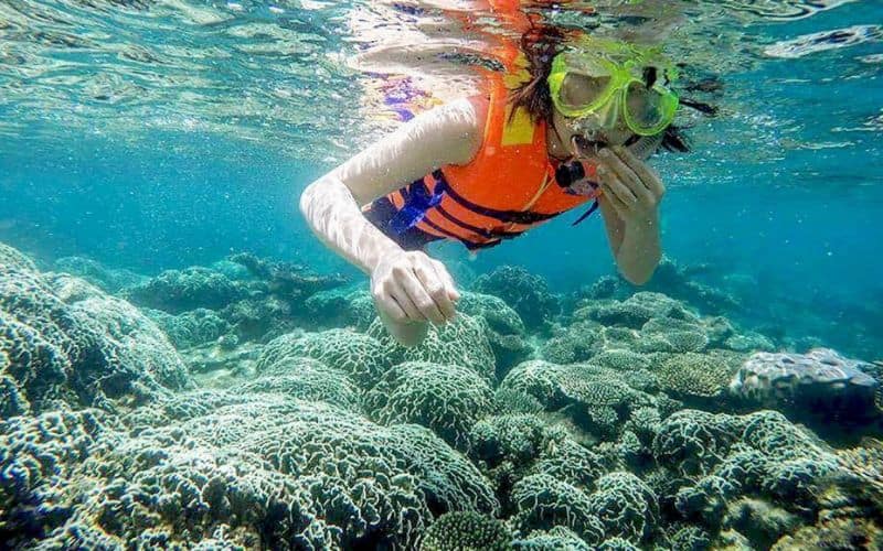 Biển Bắc Mỹ An: Điểm đến lý tưởng cho kỳ nghỉ tại Đà Nẵng 10 Bắc Mỹ An thu hút du khách với nhiều dịch vụ và trò chơi giải trí thú vị