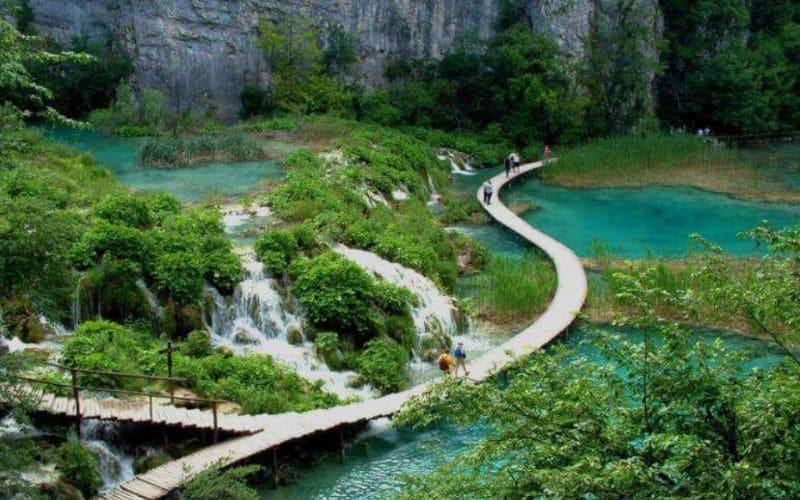 Chiêm ngưỡng vẻ đẹp hoang sơ của cầu Nam Ô Đà Nẵng 9 Vườn quốc gia Bạch Mã là điểm đến du lịch nổi tiếng gần cầu Nam Ô