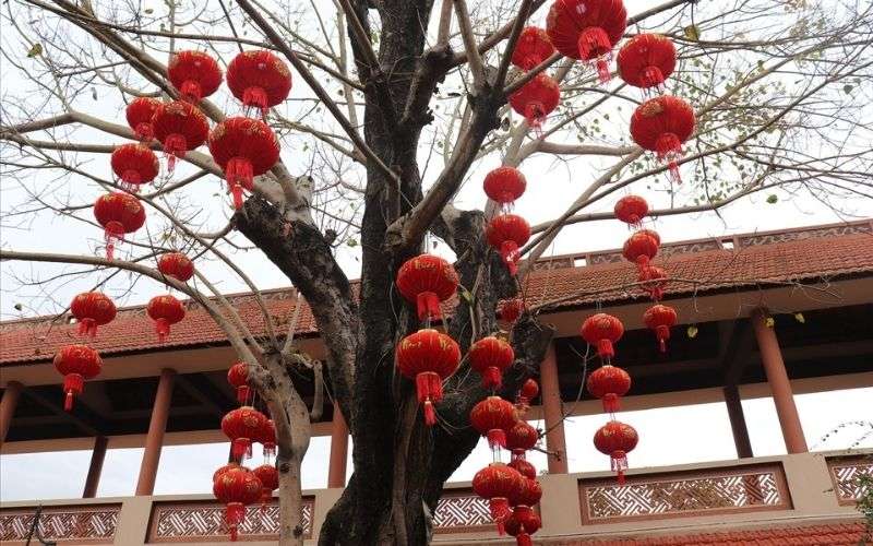 Chùa Nam Sơn - Trải nghiệm văn hóa tâm linh tại Đà Nẵng 15 Cây đèn lồng đỏ mang lại không khí tươi mới cho khuôn viên tĩnh lặng