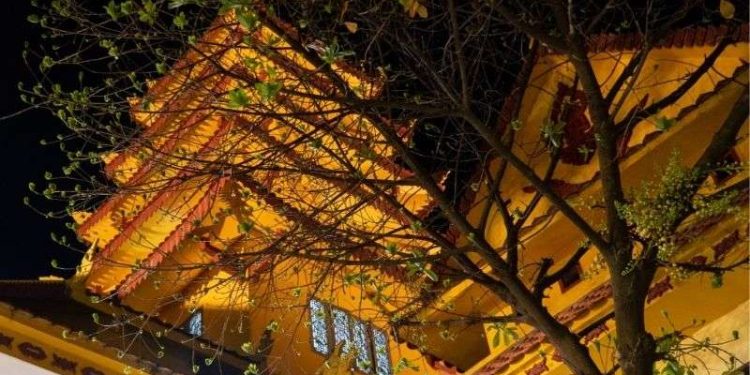 Chùa Tam Bảo Đà Nẵng - Điểm đến tâm linh Phật giáo Nam Tông 5 Chùa Tam Bảo Đà Nẵng - Điểm đến tâm linh Phật giáo Nam Tông