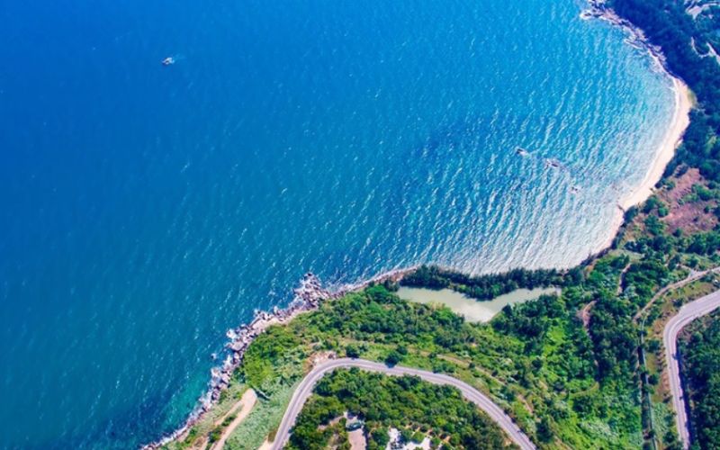 Sơn Trà là sự hòa quyện tuyệt đẹp giữa vẻ bao la của biển cả và nét hoang sơ