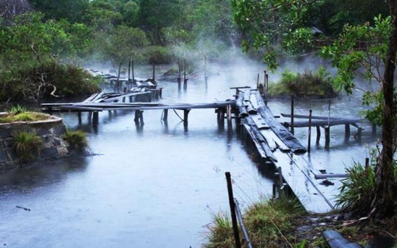 Khu du lịch tắm khoáng nóng Phước Nhơn tại Đà Nẵng có gì? 6 Phước Nhơn được bao bọc bởi cánh rừng tràm bạt ngàn đẹp tuyệt mỹ