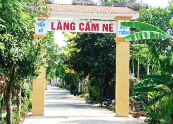 Làng Chiếu Cẩm Nê Đà Nẵng khám phá về nét đẹp truyền thống