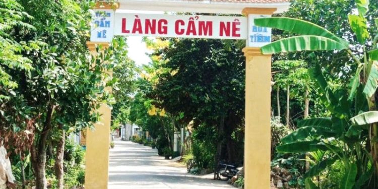 Làng Chiếu Cẩm Nê Đà Nẵng khám phá về nét đẹp truyền thống 5 Làng Chiếu Cẩm Nê Đà Nẵng khám phá về nét đẹp truyền thống