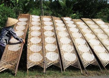 Làng nghề bánh tráng Túy Loan - Nơi tô điểm ẩm thực miền Trung