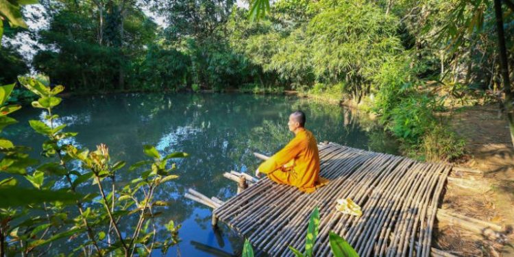 Sơn Trà Tịnh Viên - Khám phá chốn yên bình giữa lòng Đà Nẵng