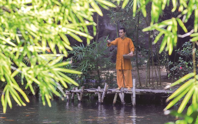 Sơn Trà Tịnh Viên - Khám phá chốn yên bình giữa lòng Đà Nẵng 7 Thời điểm lý tưởng nhất để thăm Sơn Trà Tịnh Viên là từ tháng 3 đến tháng 9