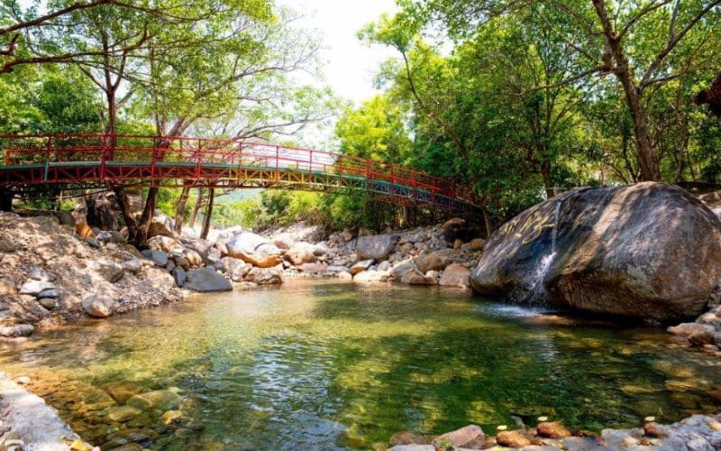Suối Lương Đà Nẵng - Ngất ngây trước thiên nhiên đẹp hoang sơ 9 Khám phá rừng nguyên sinh cạnh Suối Lương